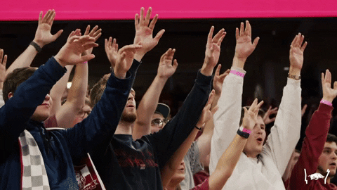 Woo Pig Arkansas Razorbacks Solemn Chants GIF