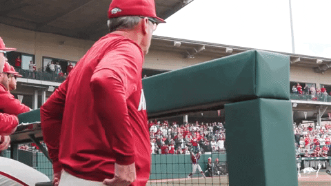 Woo Pig Dave Van Horn Excited Hand Shake GIF