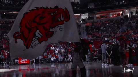 Woo Pig Massive Arkansas Razorbacks Flag Waving GIF