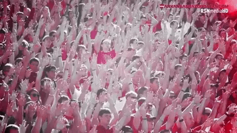 Woo Pig University Of Arkansas Flag Waving GIF