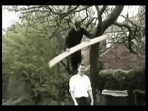 Wood Head Hit Stunt GIF