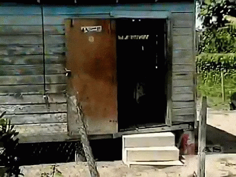 Wooden Door With Sticker Saying A