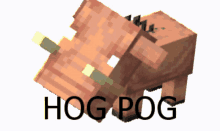 Wooden Hog Pog GIF