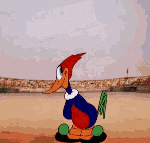 Woodpecker Woody Gif GIF