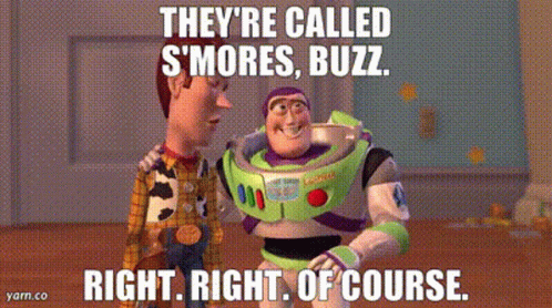 Woody And Buzz Lightyear From Toy Story Are Standing Next To Each Other And Talking . GIF