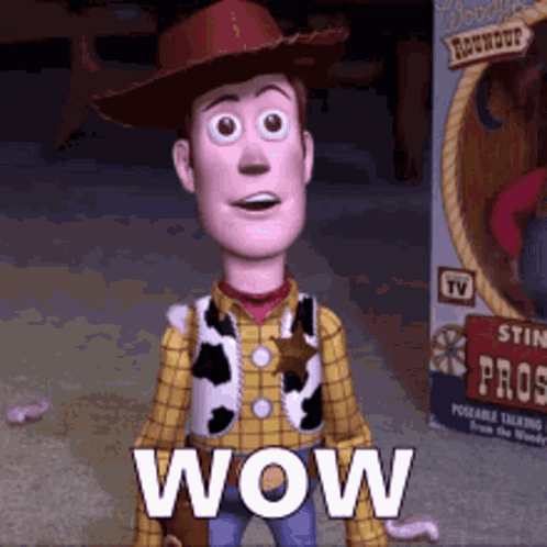 Woody from Toy Story in Cowboy Hat and Plaid Shirt