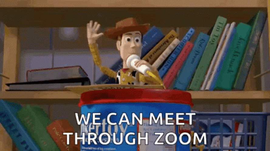 Woody Meet Through Zoom GIF