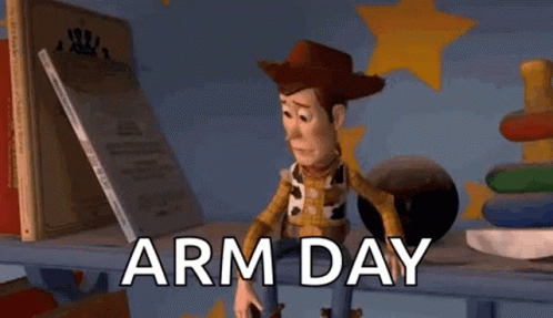 Woody Toy Story Arm Day GIF