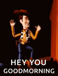 Woody Toystory Gif GIF