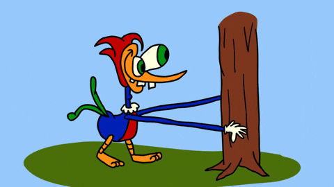 Woody Woodpecker Bird Cartoon Laugh GIF