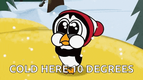 Woody Woodpecker Chilly Willy Gif GIF