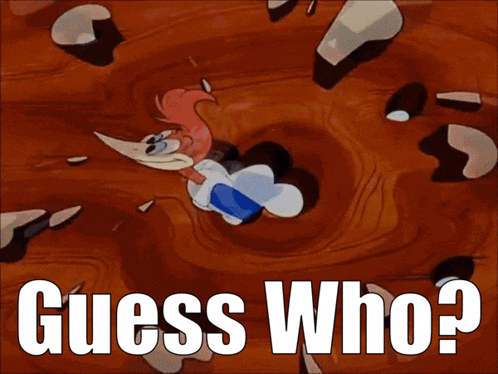 Woody Woodpecker Guess Who Gif GIF