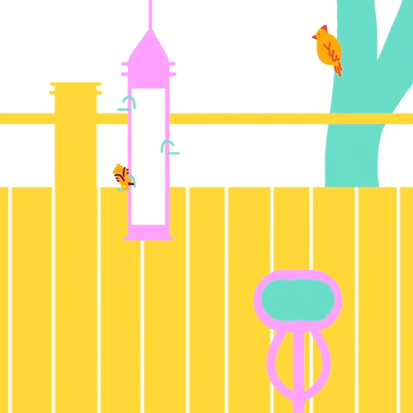 Woody Woodpecker Laugh Bird Animation GIF