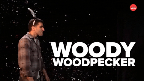 Woody Woodpecker Laugh Live GIF