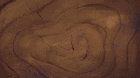 Woody Woodpecker Laugh Technicolor GIF