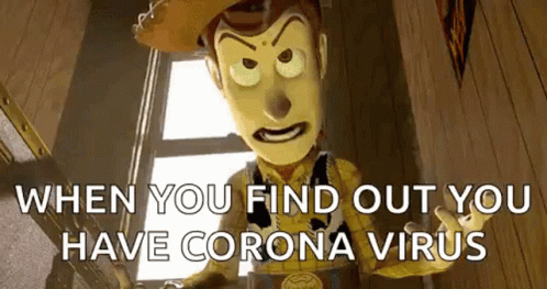 Woody You Have Covid Meme GIF