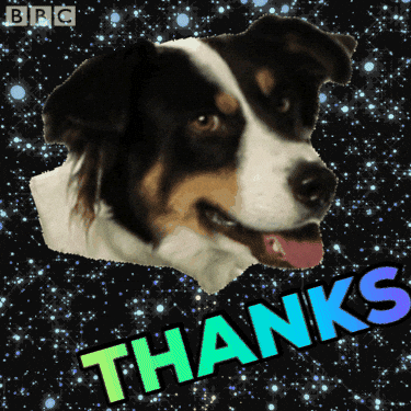 Woof Dog Thanks GIF