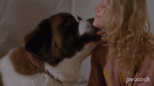 Woof Hugging A St Bernard Dog GIF
