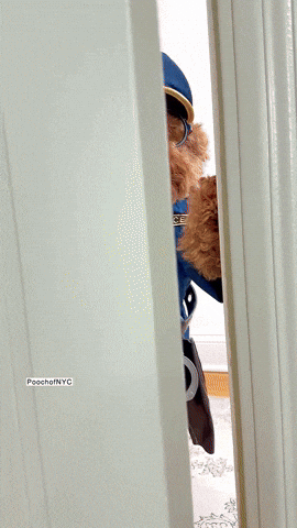 Woof Police Dog Arrest GIF