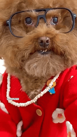 Woof Thinking Of You GIF