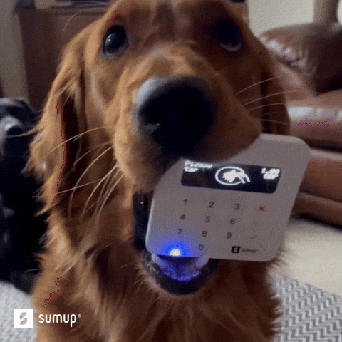 Woof Visa Scan GIF