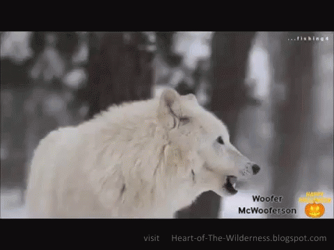 Woofer Mc Wooferson Happy Halloween GIF