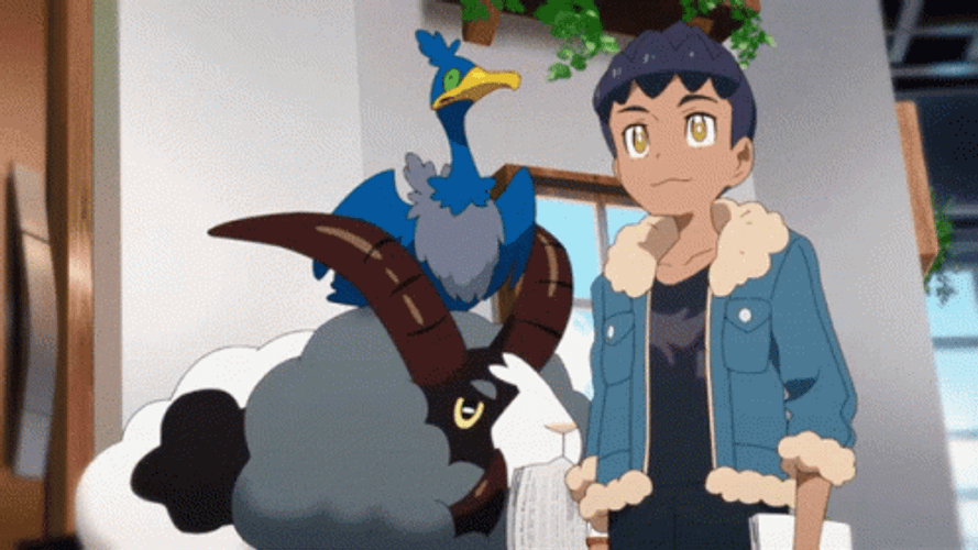 Wooloo And Hop Go To Nurse GIF