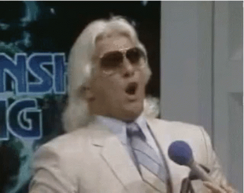 Funny Ric Flair Wooo GIF