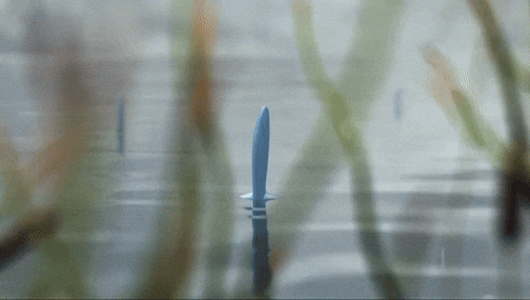 Wooper In The River GIF