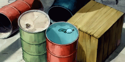 Wooper Swimming In Drum GIF