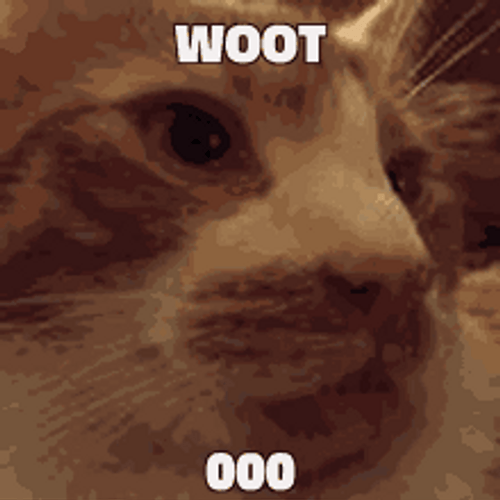 Woot Woot Cat GIF