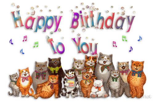Wordle Birthday Cat Group GIF