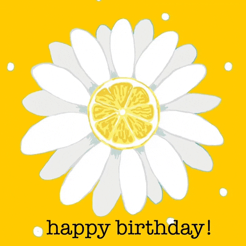 Wordle Birthday Daisy Lemon GIF