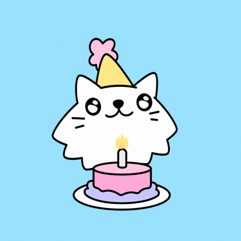 Wordle Birthday White Kitty GIF