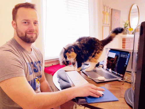 Work From Home Guy With His Cat GIF