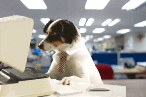 Work Monday For A Hard Working Dog GIF