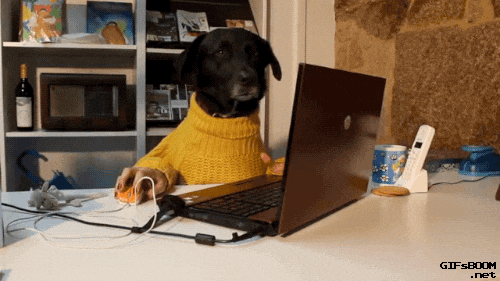 Working Butter Dog GIF