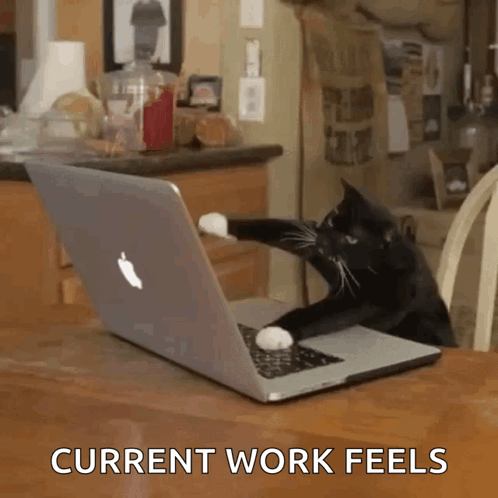 Working El Gato Meme GIF