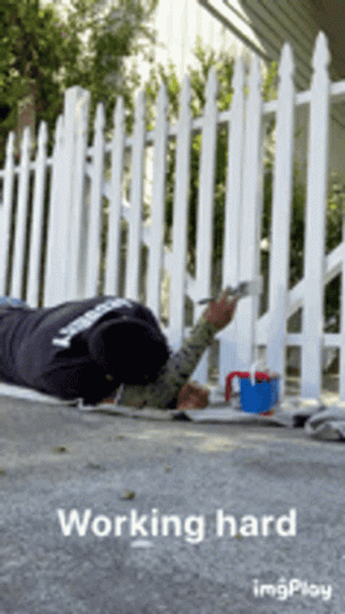 Working Hard GIF