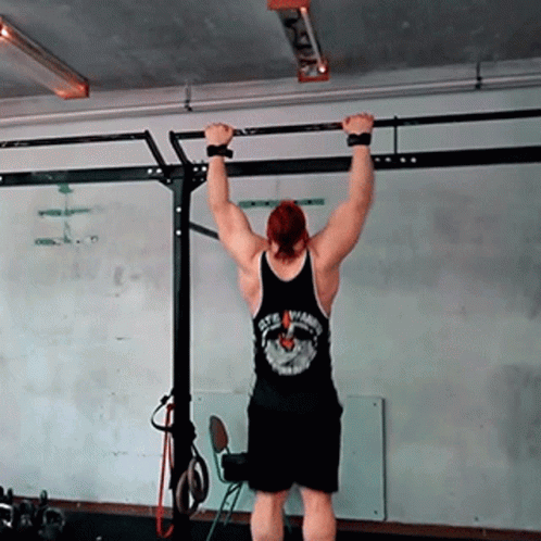 Working Out Pull Ups Gym Exercise GIF