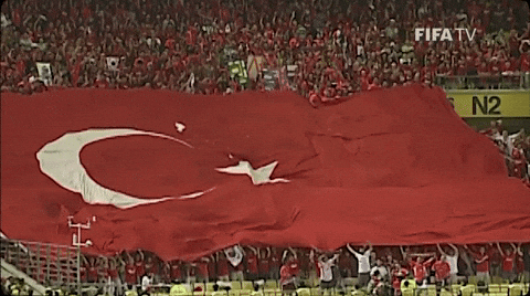 World Cup Audience Raising Giant Türkiye Flag GIF