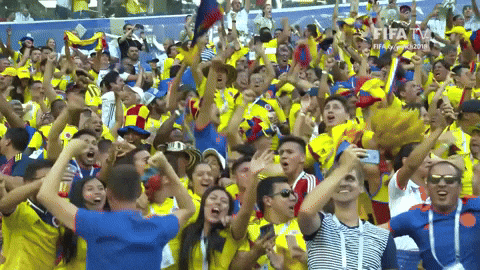 World Cup Audience Rejoicing GIF