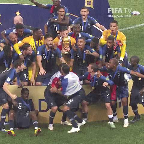 World Cup France Football Team Victory GIF