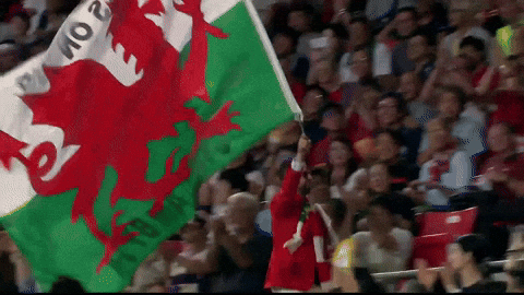 World Cup Man Running With Huge Wales Flag GIF