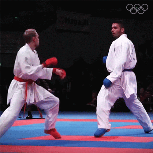 World Karate Martial Championship GIF