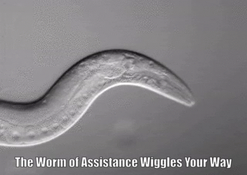 The Worm Of Assistance Wiggles Your Way GIF