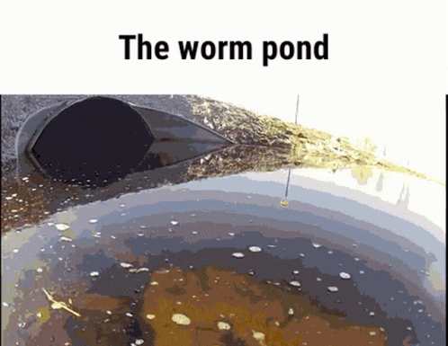 The Worm Pond GIF