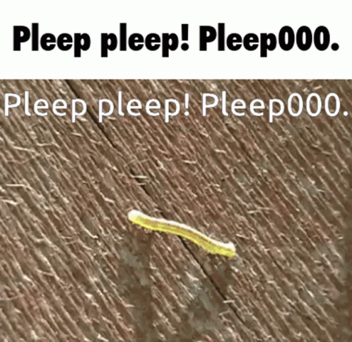 Worm Crawling Pleep Pleep GIF
