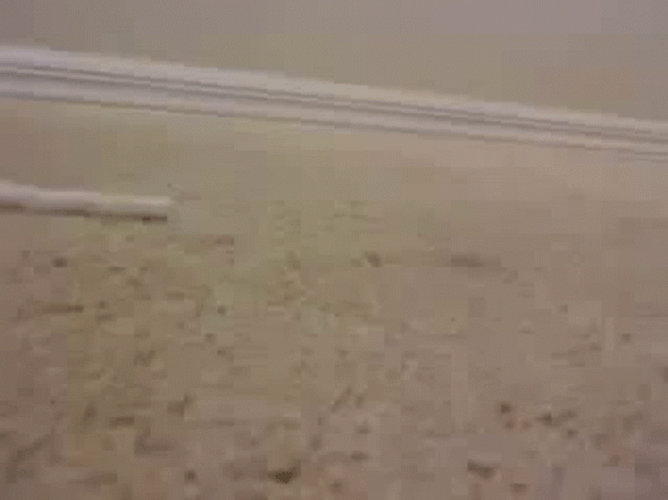 Worm Crawling Fast GIF