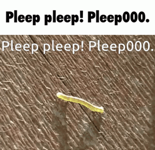 Worm Crawling Pleep Pleep GIF